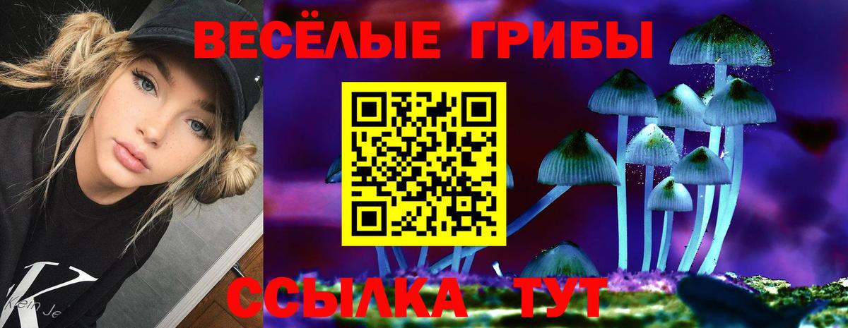 Галлюциногенные грибы GOLDEN TEACHER Железногорск